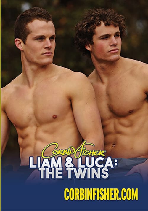 Liam and Luca: The Twins movie poster