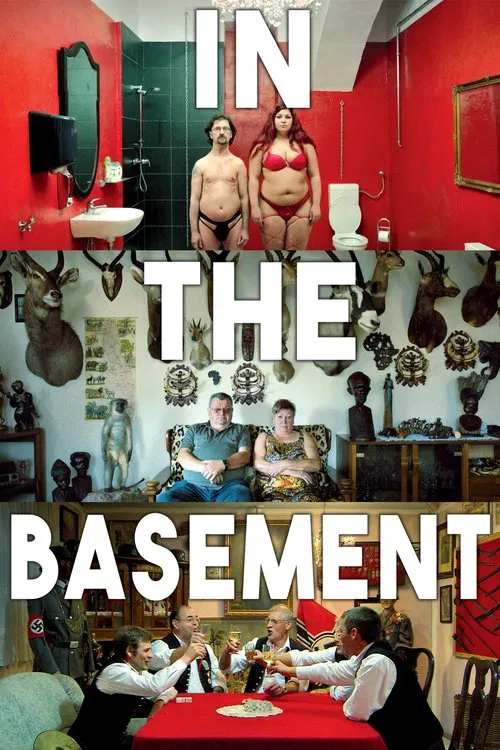 In the Basement movie poster