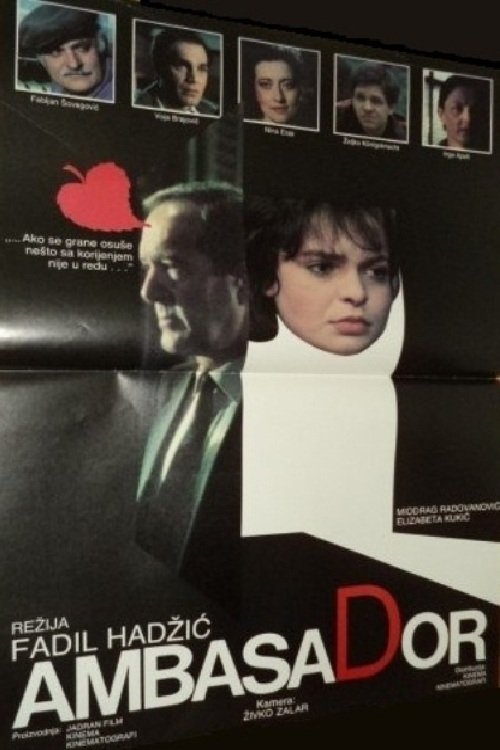 The Ambassador movie poster
