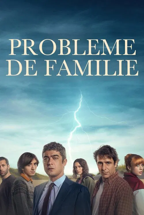 Family Matters movie poster