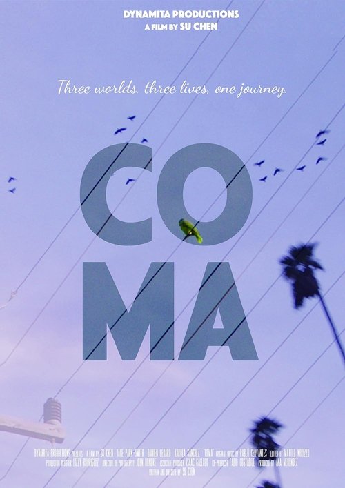 Coma movie poster
