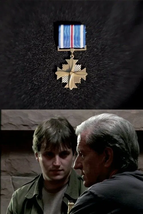 Distinguished Flying Cross movie poster