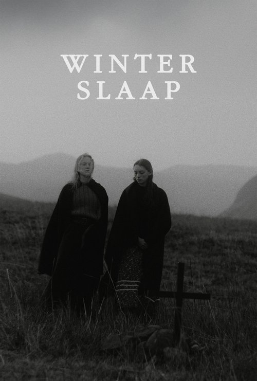 Hibernation movie poster