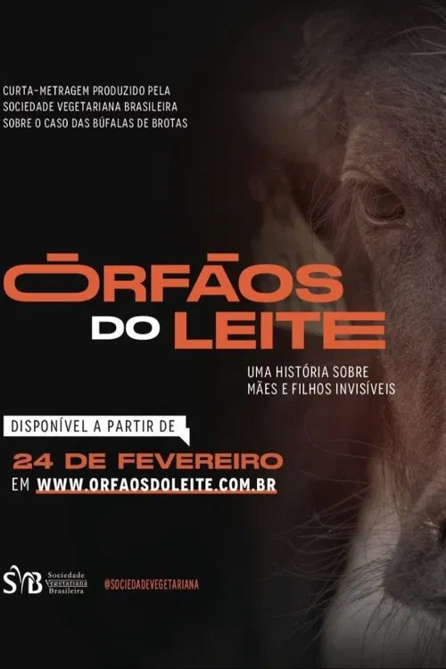 Órfãos do Leite: Uma história sobre mães e filhos invisíveis movie poster