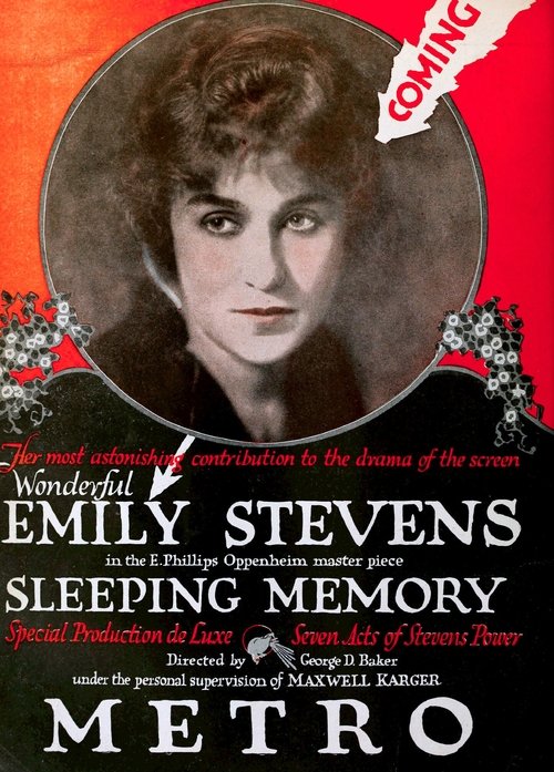 A Sleeping Memory movie poster
