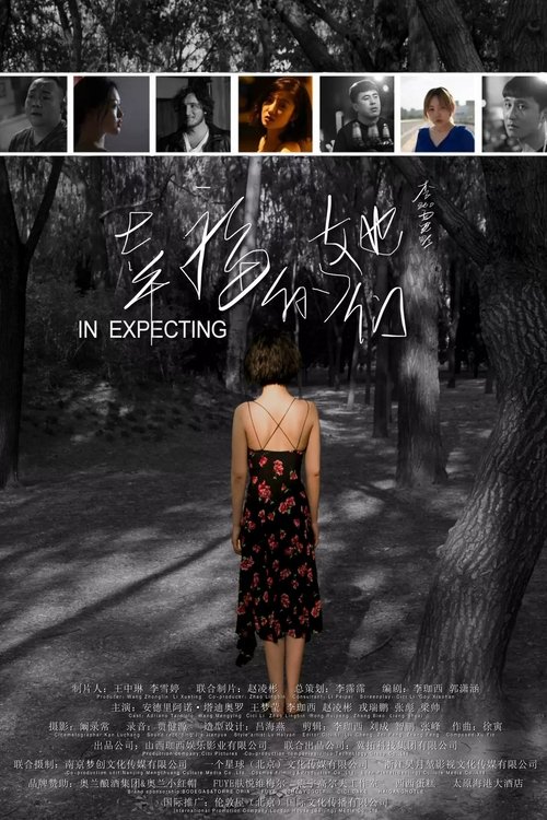 In Expecting movie poster