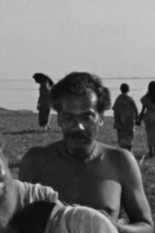 Mesbah Ahmed profile picture