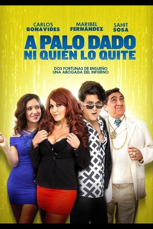A Palo dado ni quien lo quite movie poster