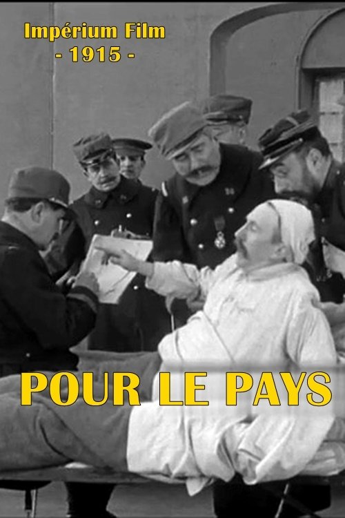 Poster do filme Pour le pays