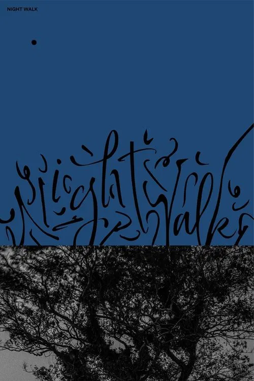 Night Walk movie poster