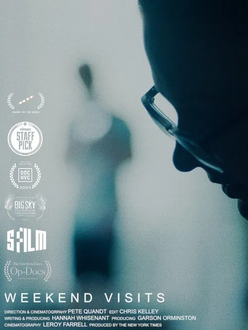 Weekend Visits movie poster