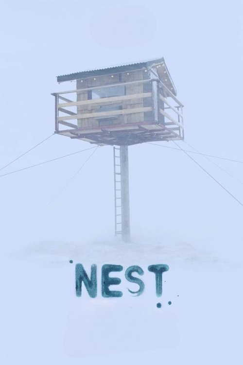Nest movie poster
