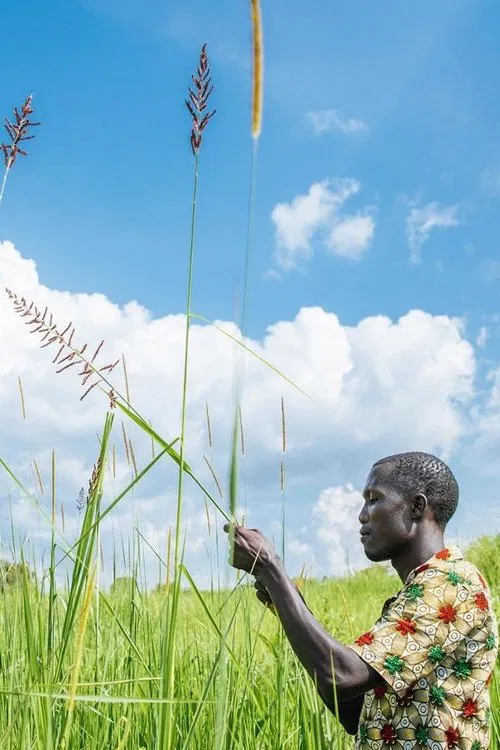 The Bitter Root movie poster