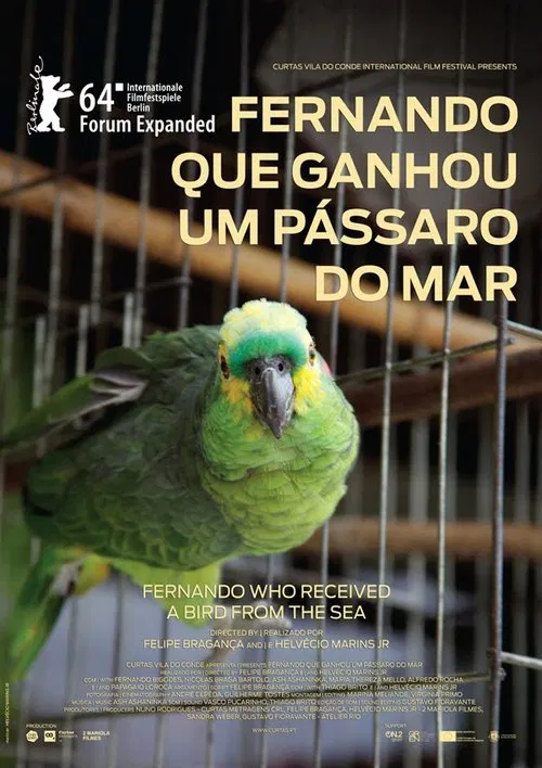 Fernando Who Received a Bird from the Sea movie poster