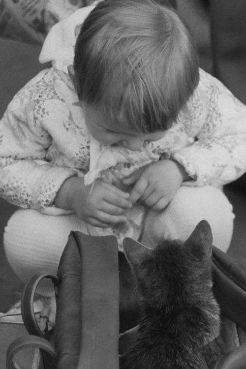 Linnaloom movie poster