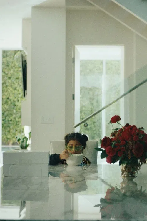 Rootless movie poster