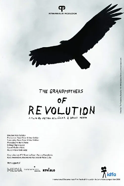 The Grandmothers of the Revolution movie poster