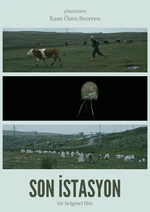 Poster do filme Son İstasyon