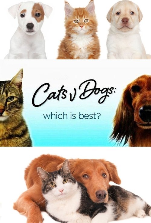 Cats v Dogs: Which is Best? tv show poster