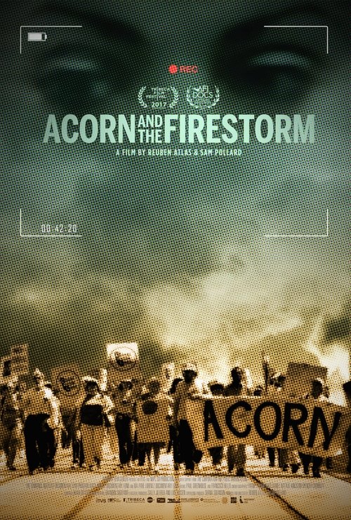 Acorn and the Firestorm movie poster
