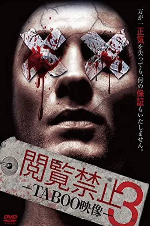 Viewing Prohibited 3 TABOO Video movie poster