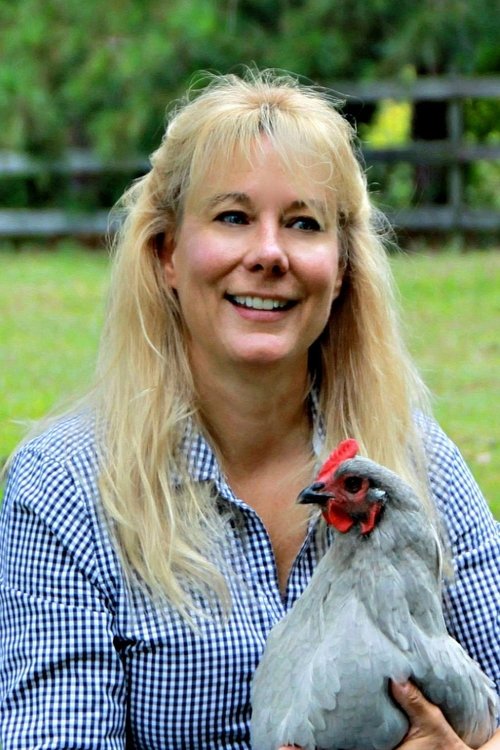 Lisa Steele profile picture