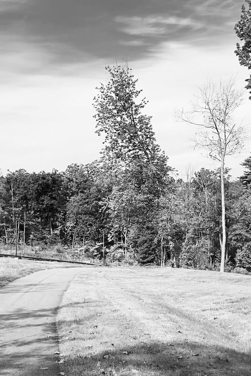 Images of a New Home movie poster