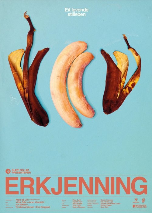 Erkjenning movie poster