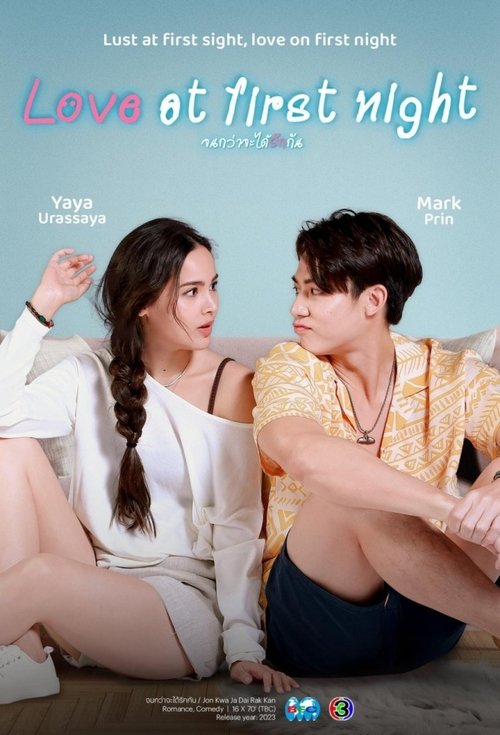Love at First Night tv show poster