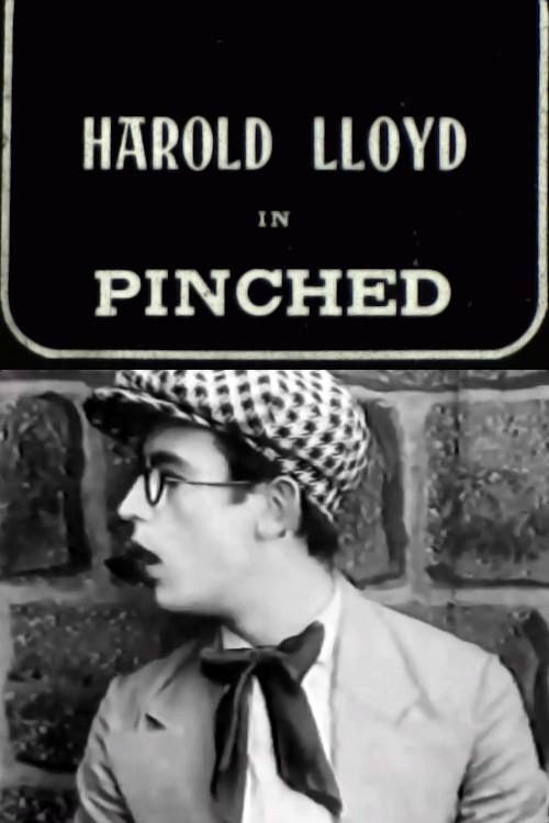 Pinched movie poster
