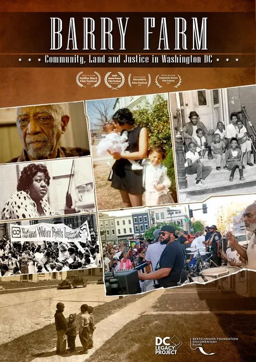 Poster do filme Barry Farm
