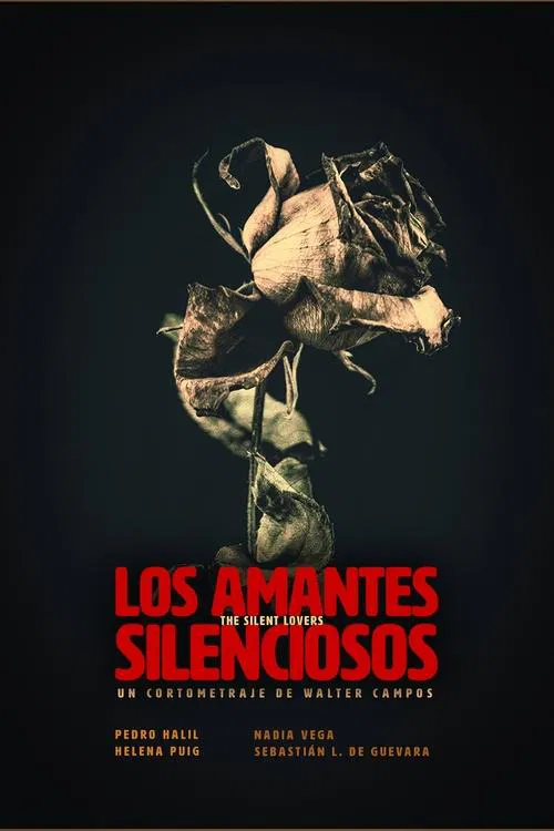 The Silent Lovers movie poster