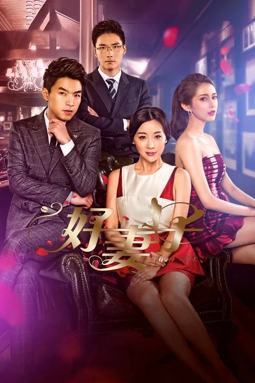 Good Wife tv show poster