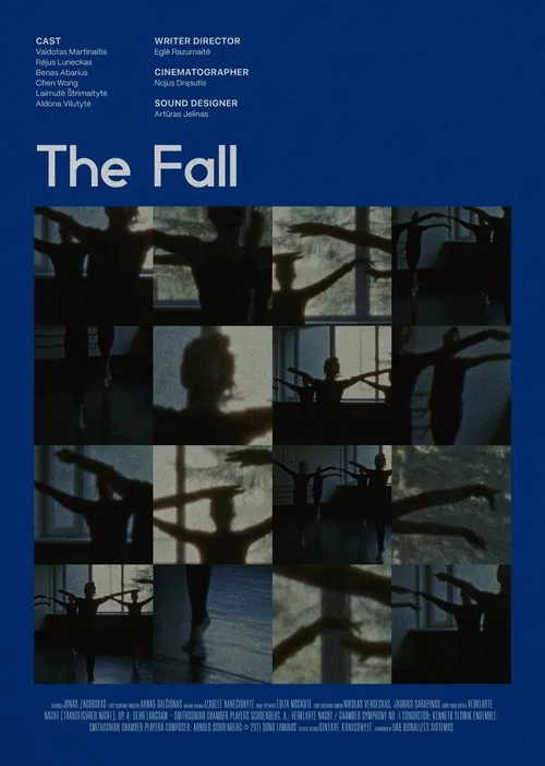 Poster do filme The Fall