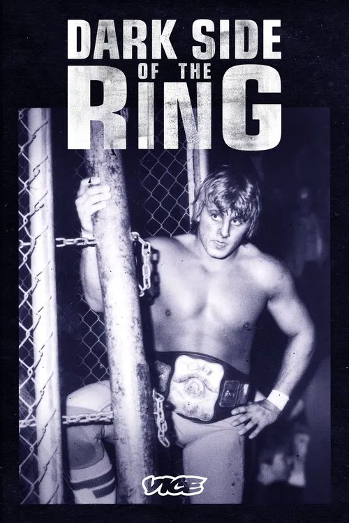 The Final Days of Owen Hart movie poster