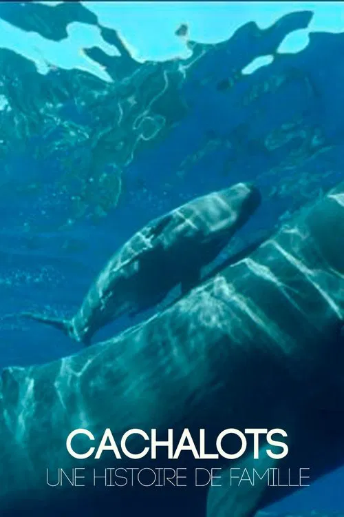 Cachalots, une histoire de famille movie poster