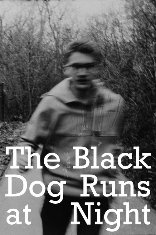 The Black Dog Runs At Night movie poster