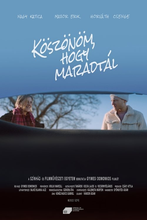 Thank You for Staying movie poster