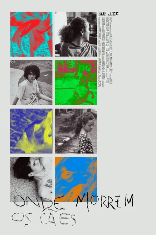 Onde Morrem os Cães movie poster