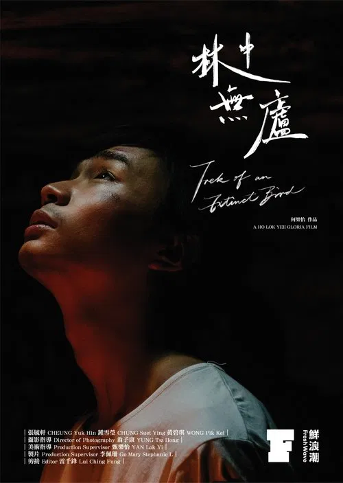 Trek of an Extinct Bird movie poster