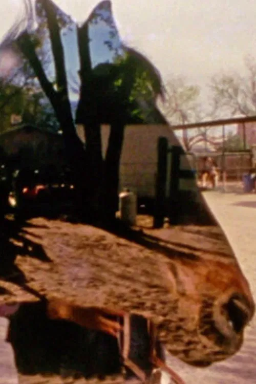 Poster do filme Horse Fare