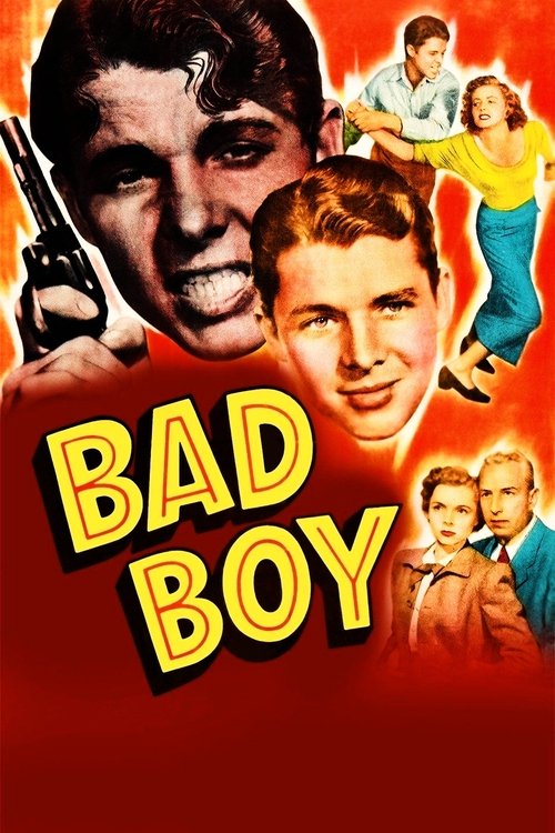 Poster do filme Bad Boy