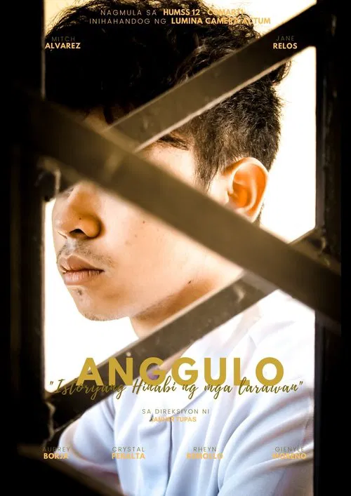 Poster do filme Angle