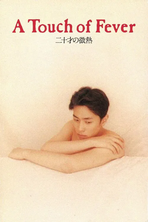 A Touch of Fever movie poster