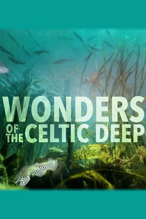 Wonders of the Celtic Deep tv show poster
