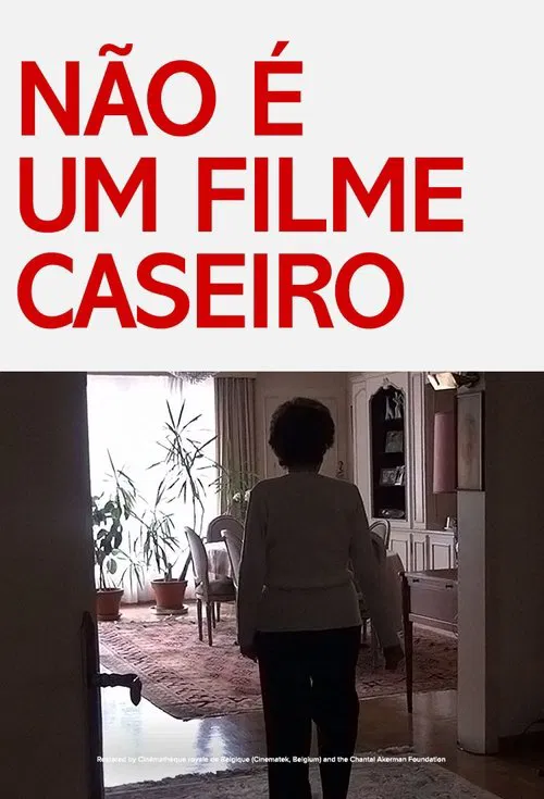 Poster do filme Não é um Filme Caseiro