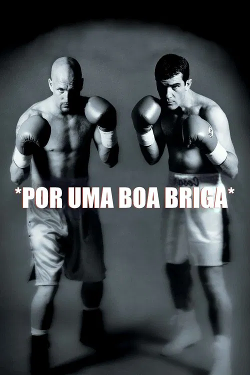 Poster do filme Por uma Boa Briga