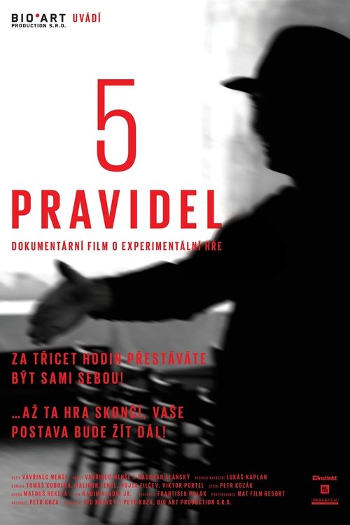 5 pravidel movie poster