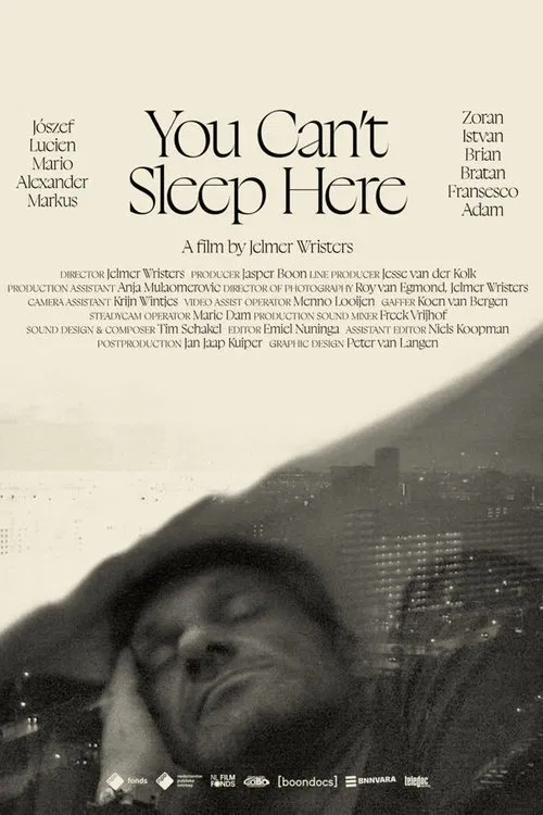 You Can't Sleep Here movie poster