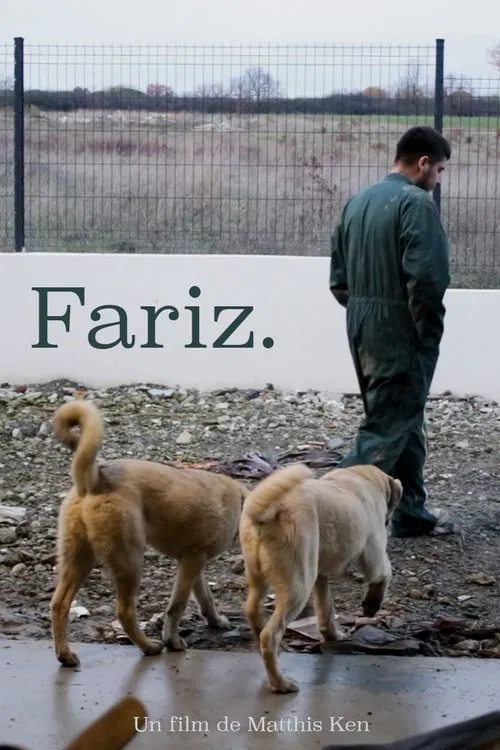 Fariz. movie poster